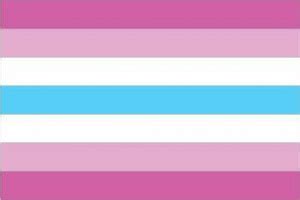 femboy flagge|Category:Transgender flags